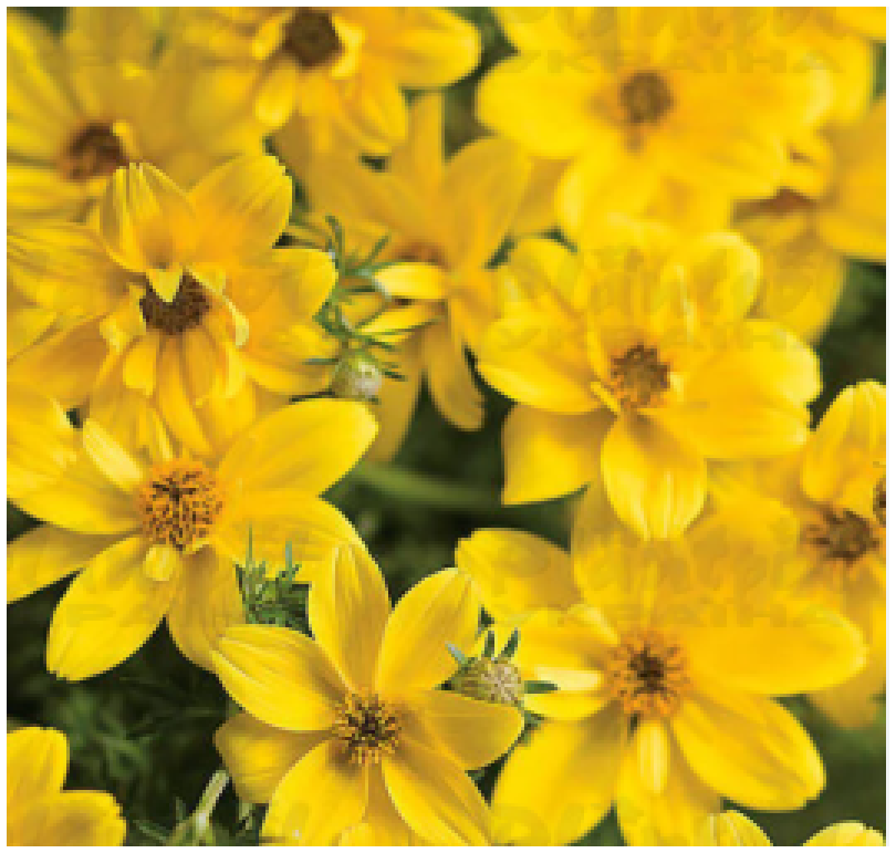 Снимок экрана 2025-10-18 1940374